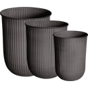 DBKD OUT STRIPE - Set of 3 - Brown
