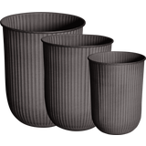 DBKD OUT STRIPE - Set of 3