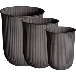 DBKD OUT STRIPE - Set of 3 - Brown