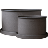 DBKD PLANT BOWL 2-Set
