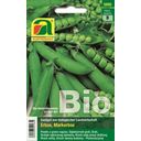 AUSTROSAAT Organic Peas- Miracle of Kelvedon - 1 Pkg