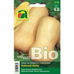 AUSTROSAAT Organic Butternut Squash - 1 Pkg