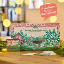 Die Stadtgärtner Adventskalender med Luckor