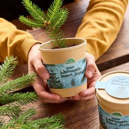 Set de Cultivo - Árbol de Navidad en Maceta