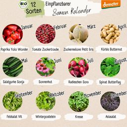 LOVEPLANTS Planterbar Kalender 2025