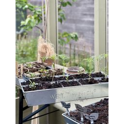 Grow Tray with 10 Individual Pots - Galvanised