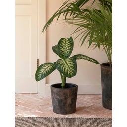 Garden Trading Radstock Plant Pot, Antique Brown - Large