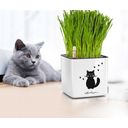 Lechuza Pot de Fleur - CUBE Glossy CAT 14 - 1 pcs