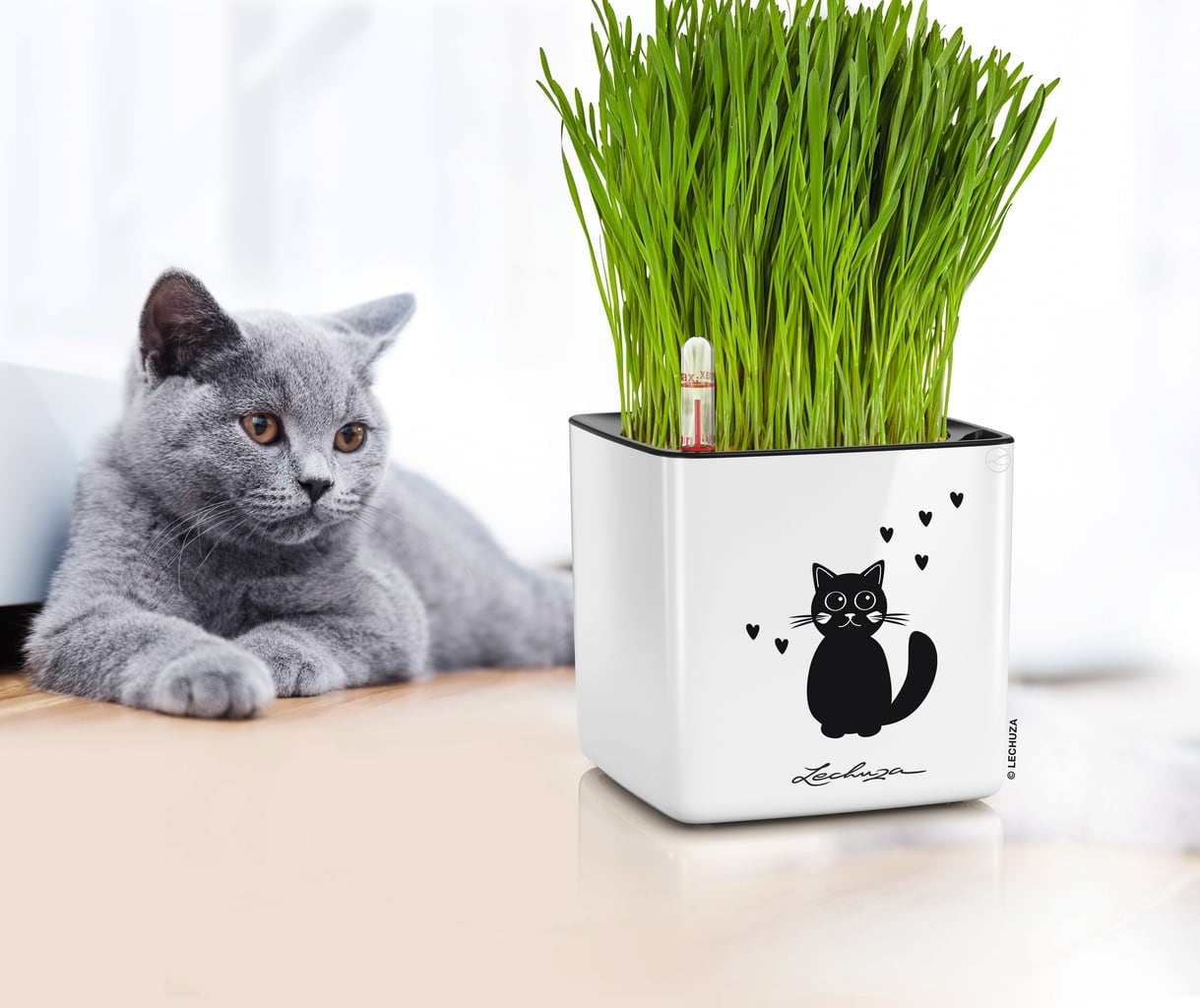 Lechuza Bordskärl CUBE Glossy CAT 14 - 1 st.