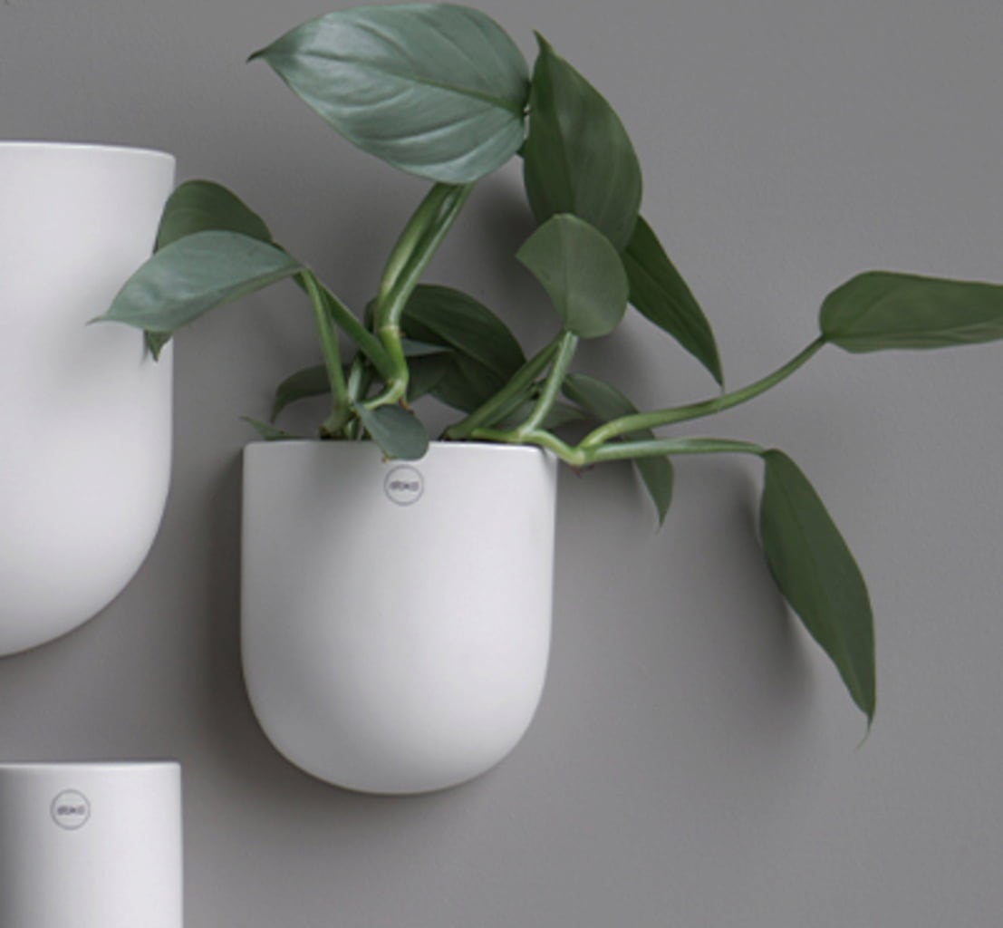 DBKD CUT white - Large