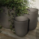 DBKD OUT - Set of 3 - Brown