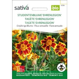 Sativa Ekologisk Ringblomma 