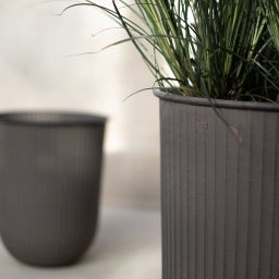 DBKD OUT STRIPE - Set of 3 - Brown
