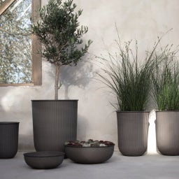 DBKD OUT STRIPE - Set of 3 - Brown
