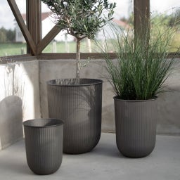DBKD OUT STRIPE - Set of 3 - Brown