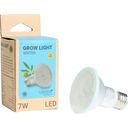 Venso Grow Light Winter 120° - 7 W