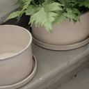 DBKD PLANT BOWL 2-set - beige