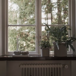 DBKD TWINE Small - mole