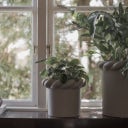 DBKD TWINE Small - mole