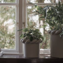 DBKD TWINE Small - mole