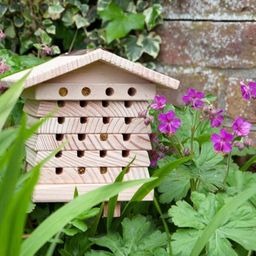 Wildlife World Bienenhaus für Wildbienen