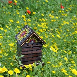 Caseta para Abejas Silvestres - Bali Island