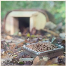 Wildlife World Igel Snackschale