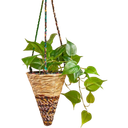 Wildlife World Hanging Plant Basket, Conical