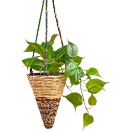 Wildlife World Hanging Plant Basket, Conical