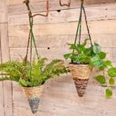 Wildlife World Hanging Plant Basket, Conical