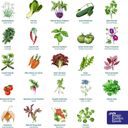 Magic Garden Seeds Advent Calendar - Organic Seeds