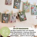 LOVEPLANTS Calendario de Adviento con Semillas