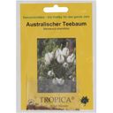 TROPICA Australian Tea Tree - 400 Seeds