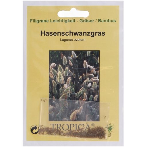 TROPICA Hasenschwanzgras - 100 Korn