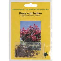 TROPICA Rose von Indien - 100 Korn