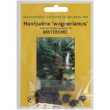 TROPICA Hemp Palm "Wagnerianus"