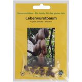 TROPICA Leberwurstbaum