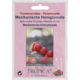 TROPICA Mexican Honey Tomatoes