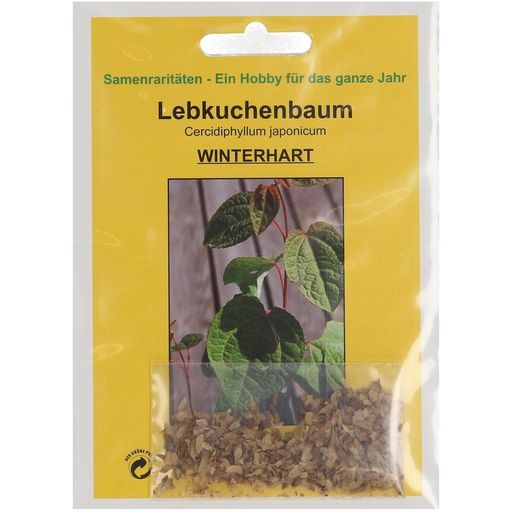 TROPICA Lebkuchenbaum - 100 Korn