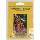 TROPICA Zwergkaffee-Strauch - 8 Korn