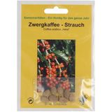 TROPICA Zwergkaffee-Strauch