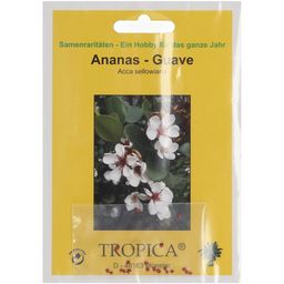 TROPICA Ananas-Guave - 2 g
