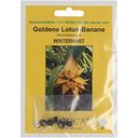 TROPICA Zlata lotusova banana - 5 zrn.