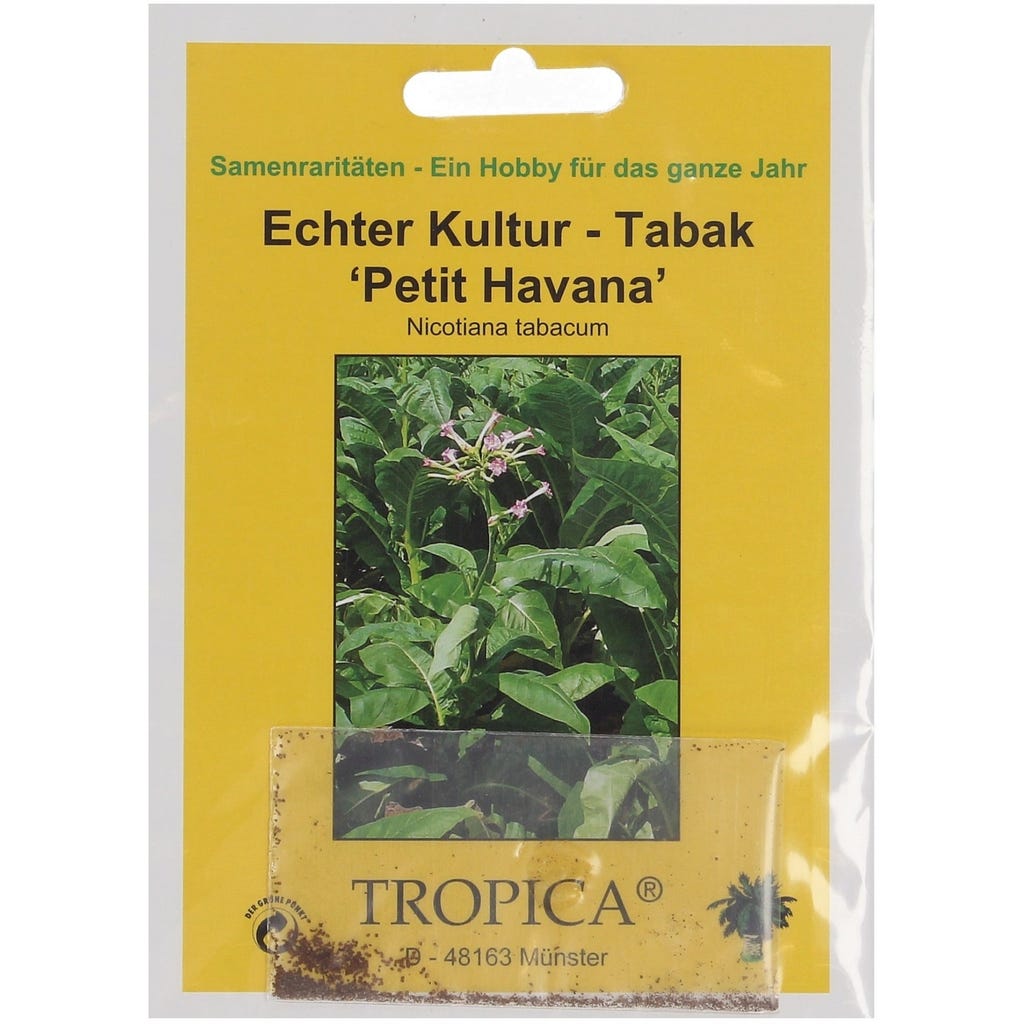 jams tobacco and vape Jammin - Blueberry Jam Tart 10ml Nic Salt E-liquid by Pod Salt – Manabush  Eliquid