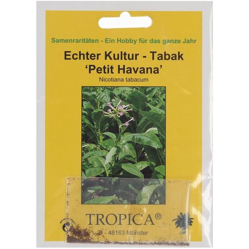TROPICA Genuine Tobacco - 100 Seeds