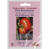 TROPICA "Pink Brandywine" Tomatoes