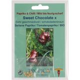 TROPICA Poivron Bio "Sweet Chocolate"