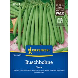 Kiepenkerl Buschbohne Saxa - 1 Pkg