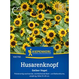 Kiepenkerl Husarenknopf Gelber Vogel - 1 Pkg