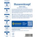 Kiepenkerl Husarenknopf Gelber Vogel - 1 Pkg